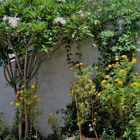 Bed and Breakfast Bellaxy Ceylon Zewnętrze zdjęcie